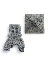 Gemini_Generated_Image_9ijsd29ijsd29ijs.webp