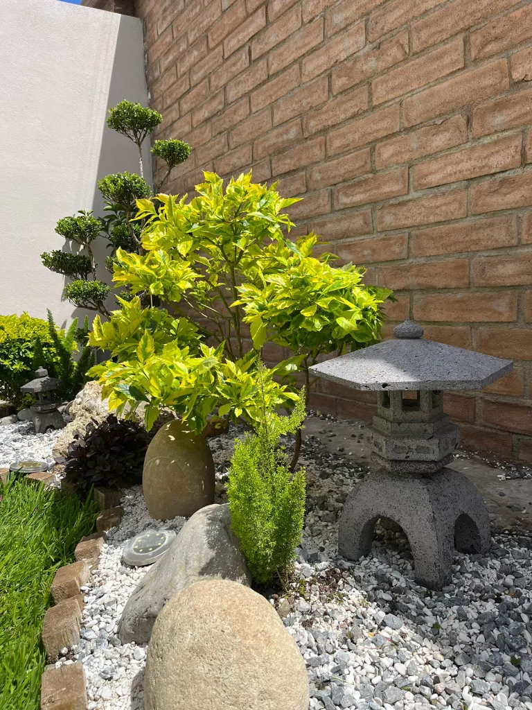 IMG-20240701-WA0002.webp
