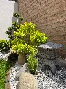 IMG-20240701-WA0002.webp